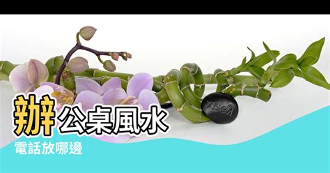 辦公桌 植物 風水|辦公桌風水完整指南：招財、迎貴人、提升事業運！打造專屬於你。